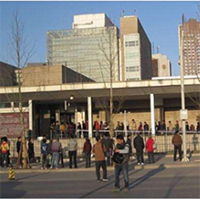 百宸律师事务所-葡萄语陪同口译