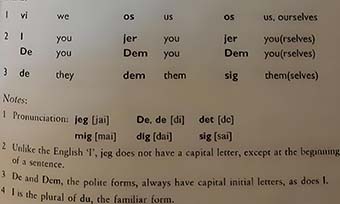 丹麦语翻译服务推荐(翻译公司的专业品质保障)