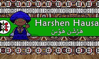 哪些语言服务供应商可以提供专业豪萨语翻译