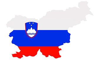 哪些翻译公司可以提供专业斯洛文尼亚语翻译