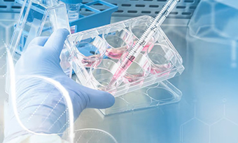 生物制药翻译公司推荐(国内十大医学翻译品牌排名)
